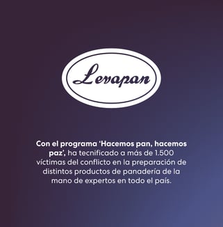 galeria-ideas-para-transformar-pais-11