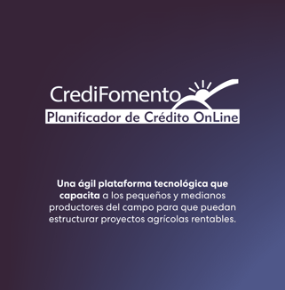 galeria-ideas-para-transformar-pais-3