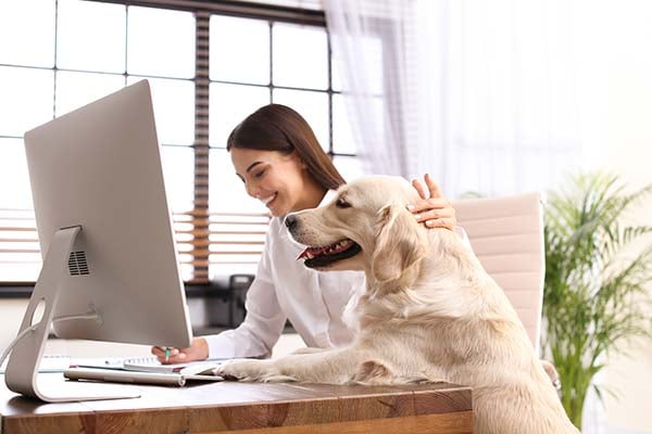 Una mujer joven adquiriendo el seguro para mascotas Colsubsidio en compañía de su perro.