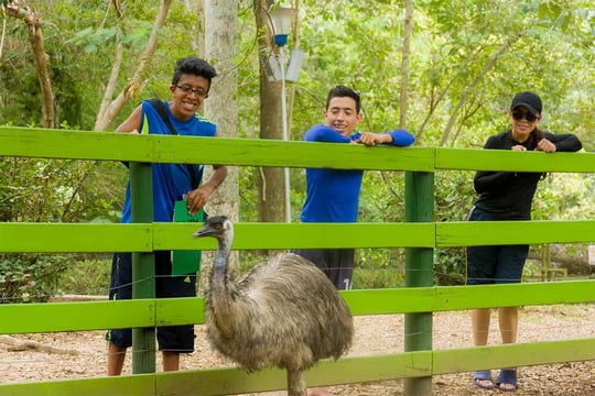 Un grupo de jóvenes disfrutando en el programa de vacaciones recreativas de Colsubsidio.