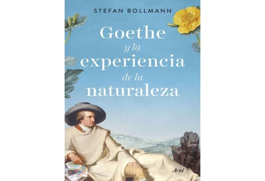 Libro Goethe y la experiencia de la naturaleza