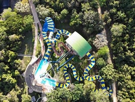 card-parque-acuatico-conservacion-piscilago