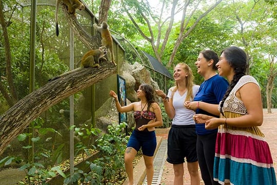 Cuatro mujeres visitando el área de conservación en Piscilago.