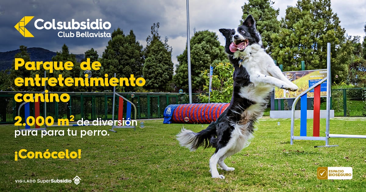 Parque de Entretenimiento Canino