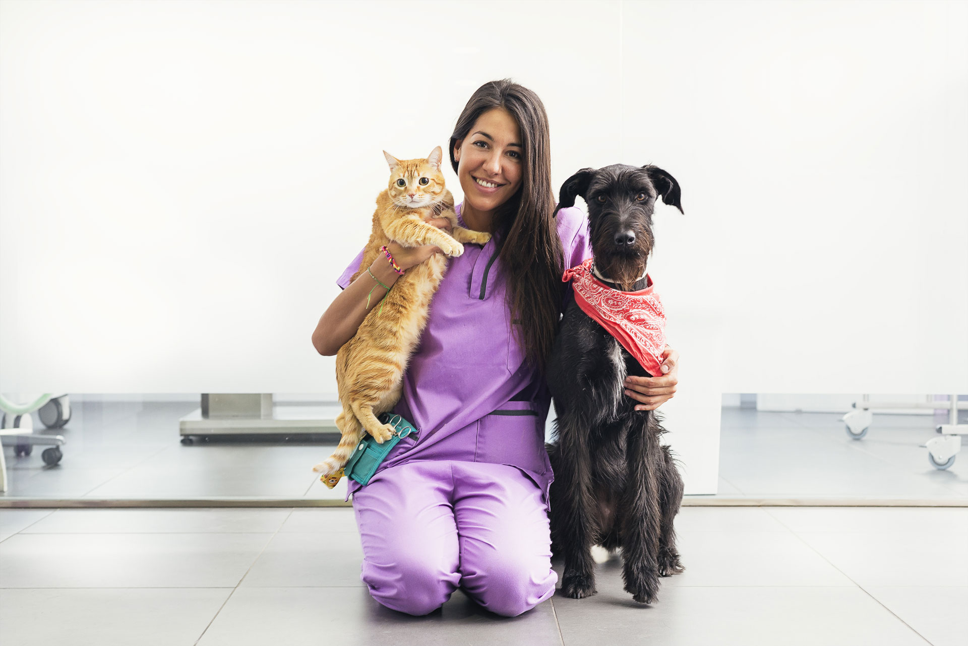 Una mujer veterinario brindando asistencia médica un perro y un gato.