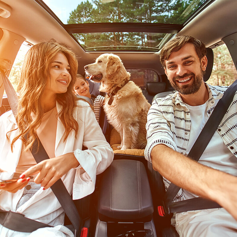 pareja con su perro en el auto