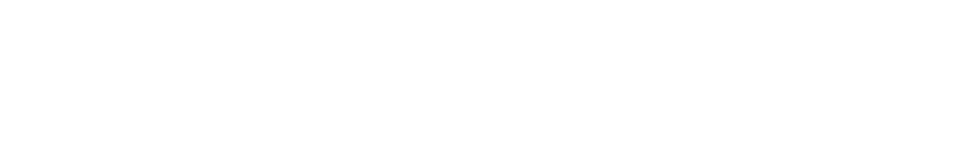 logo supersubsidio